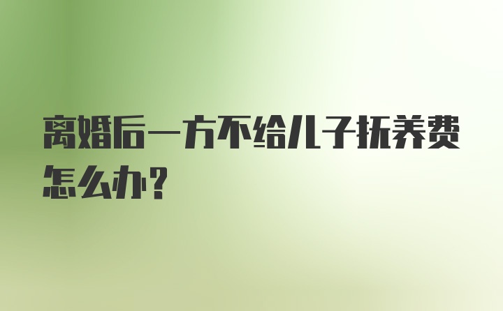 离婚后一方不给儿子抚养费怎么办?