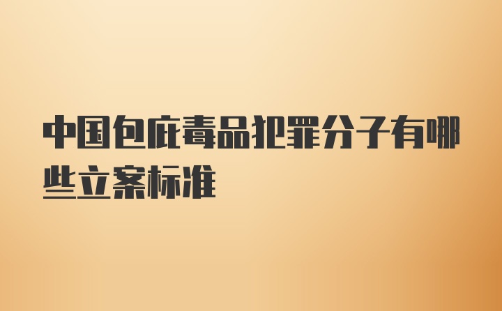 中国包庇毒品犯罪分子有哪些立案标准