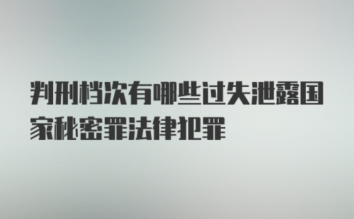 判刑档次有哪些过失泄露国家秘密罪法律犯罪