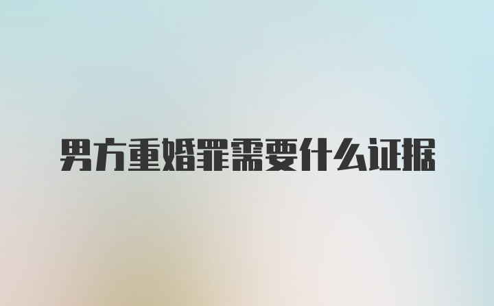 男方重婚罪需要什么证据