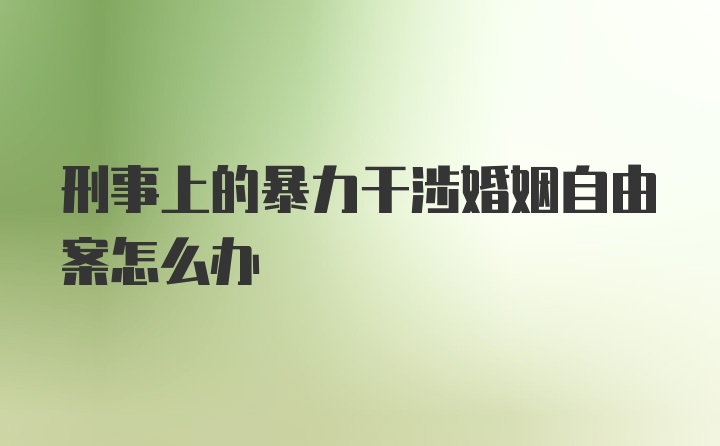 刑事上的暴力干涉婚姻自由案怎么办