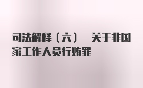 司法解释(六) 关于非国家工作人员行贿罪