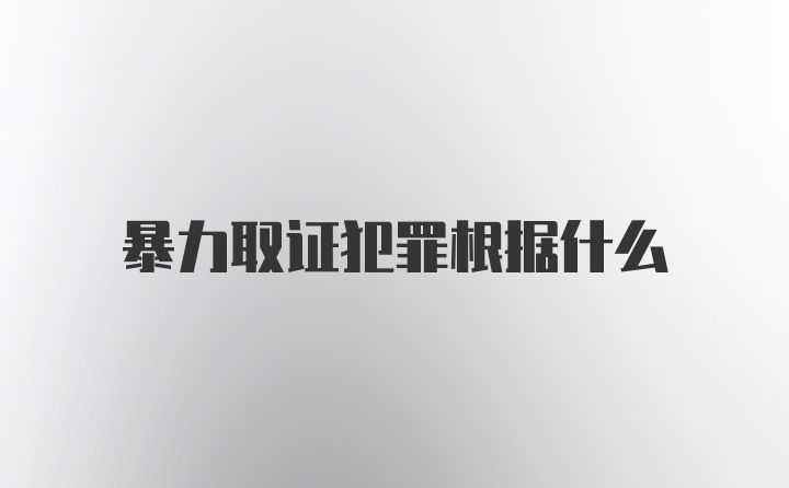 暴力取证犯罪根据什么