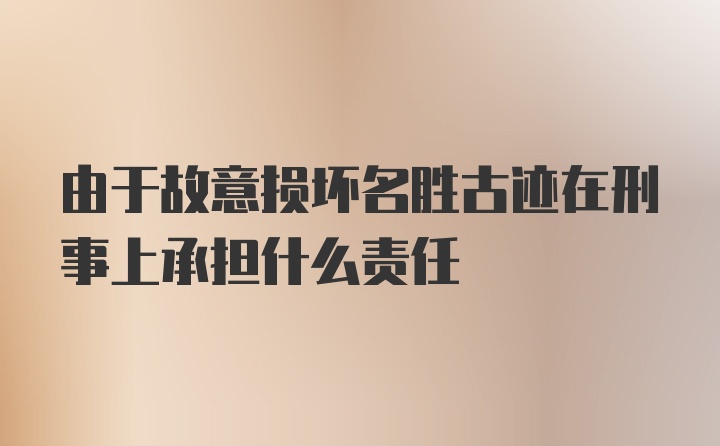 由于故意损坏名胜古迹在刑事上承担什么责任