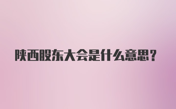 陕西股东大会是什么意思?