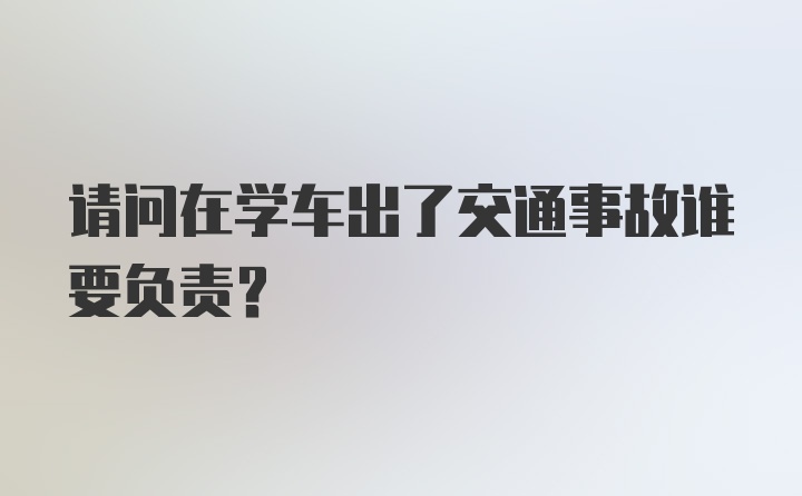 请问在学车出了交通事故谁要负责？