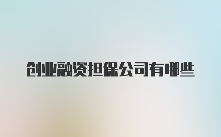 创业融资担保公司有哪些