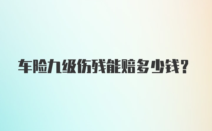 车险九级伤残能赔多少钱？