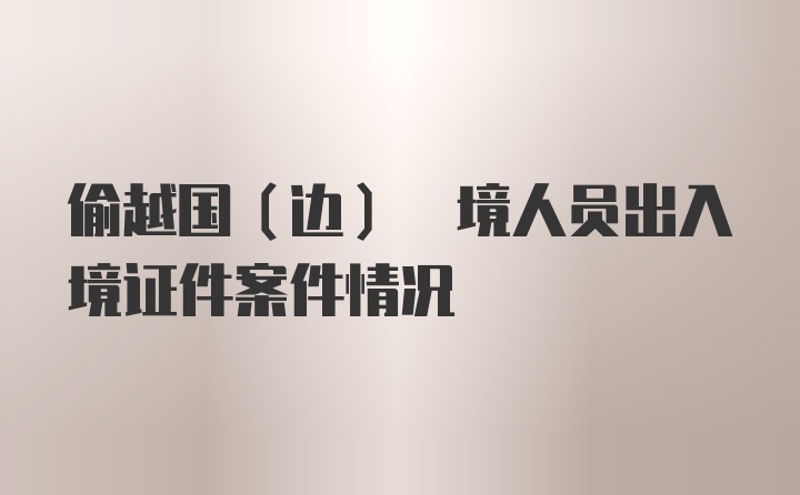 偷越国(边) 境人员出入境证件案件情况