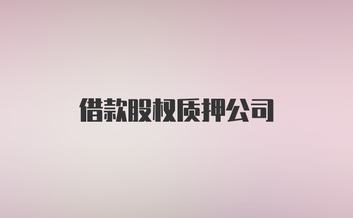 借款股权质押公司