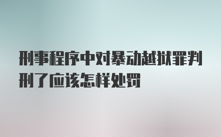 刑事程序中对暴动越狱罪判刑了应该怎样处罚