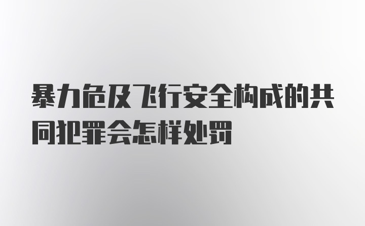 暴力危及飞行安全构成的共同犯罪会怎样处罚