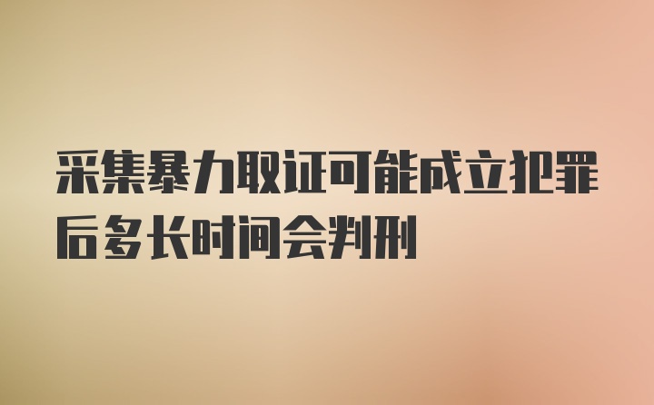 采集暴力取证可能成立犯罪后多长时间会判刑