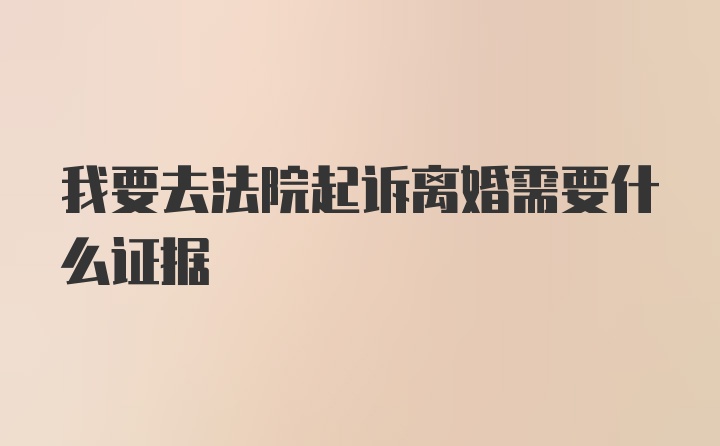 我要去法院起诉离婚需要什么证据