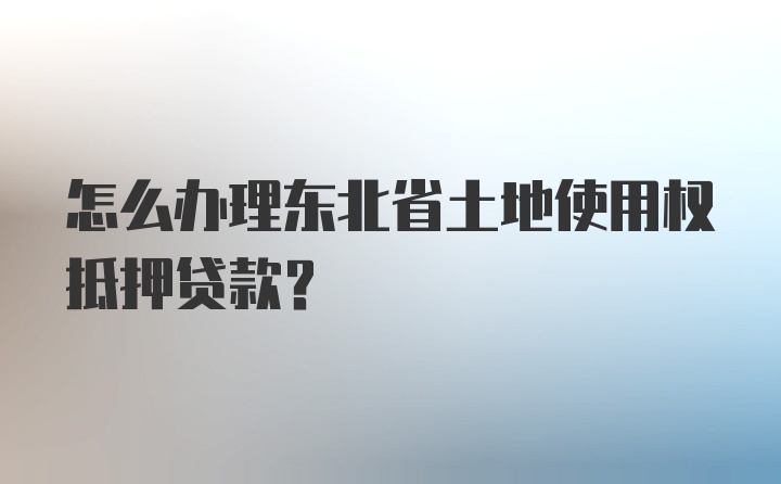 怎么办理东北省土地使用权抵押贷款？
