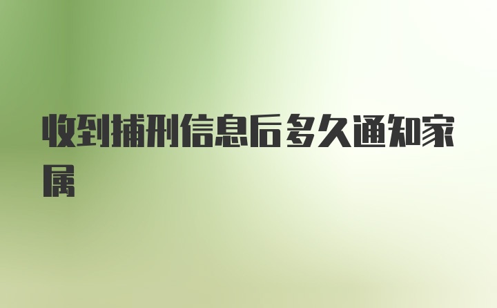 收到捕刑信息后多久通知家属