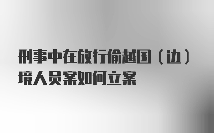 刑事中在放行偷越国（边）境人员案如何立案