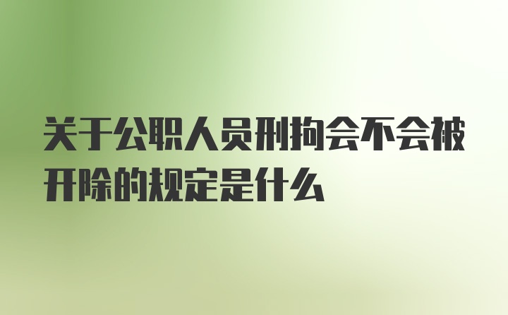 关于公职人员刑拘会不会被开除的规定是什么