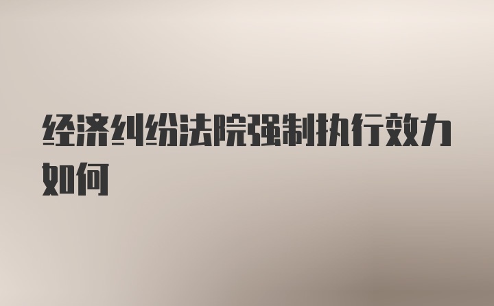 经济纠纷法院强制执行效力如何