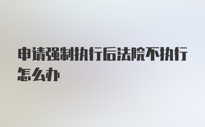 申请强制执行后法院不执行怎么办