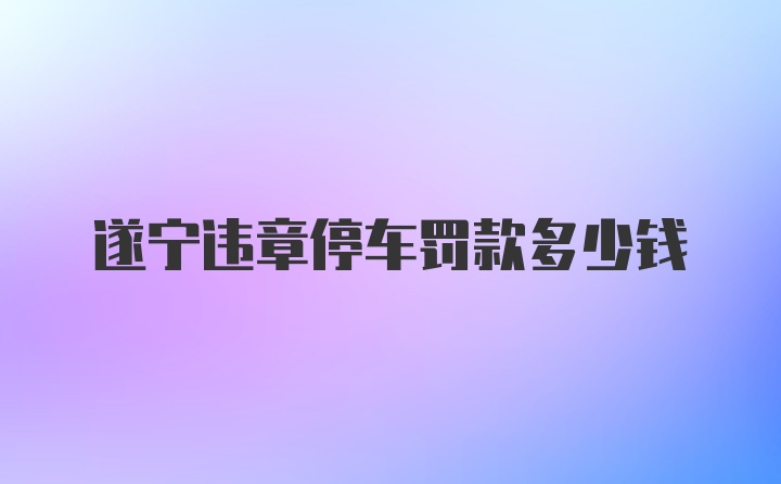 遂宁违章停车罚款多少钱