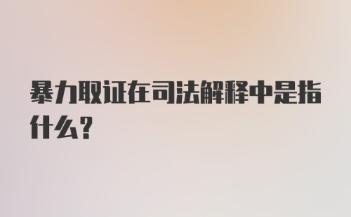 暴力取证在司法解释中是指什么?