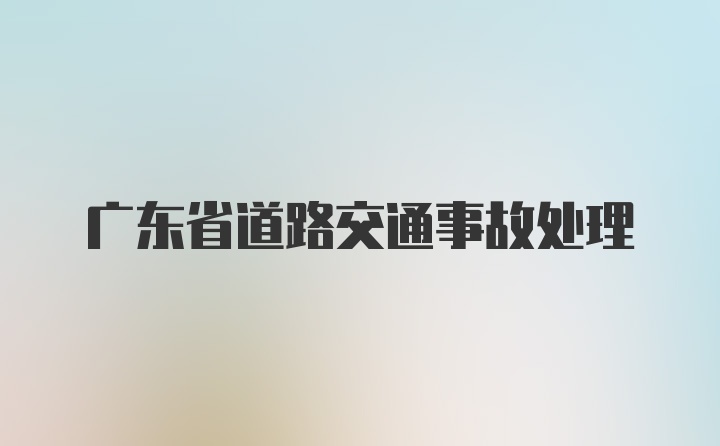 广东省道路交通事故处理