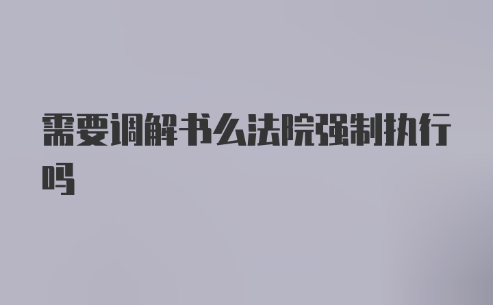 需要调解书么法院强制执行吗