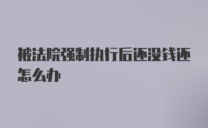 被法院强制执行后还没钱还怎么办