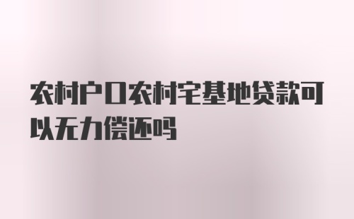 农村户口农村宅基地贷款可以无力偿还吗