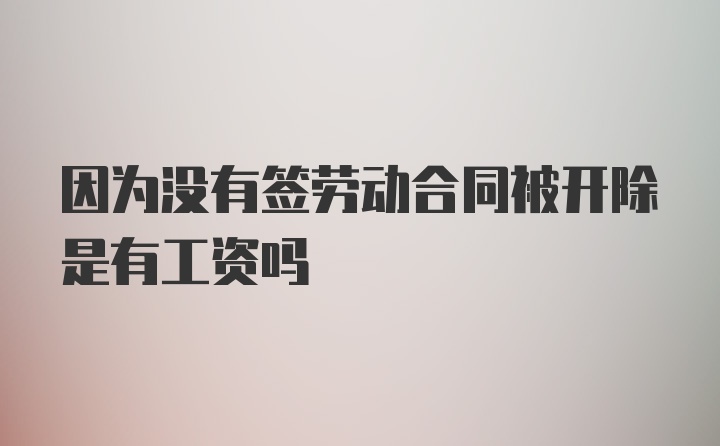 因为没有签劳动合同被开除是有工资吗