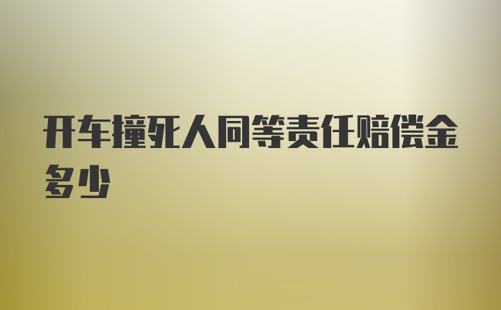 开车撞死人同等责任赔偿金多少