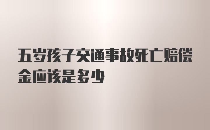 五岁孩子交通事故死亡赔偿金应该是多少