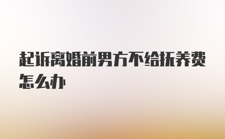 起诉离婚前男方不给抚养费怎么办