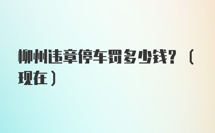 柳州违章停车罚多少钱？（现在）