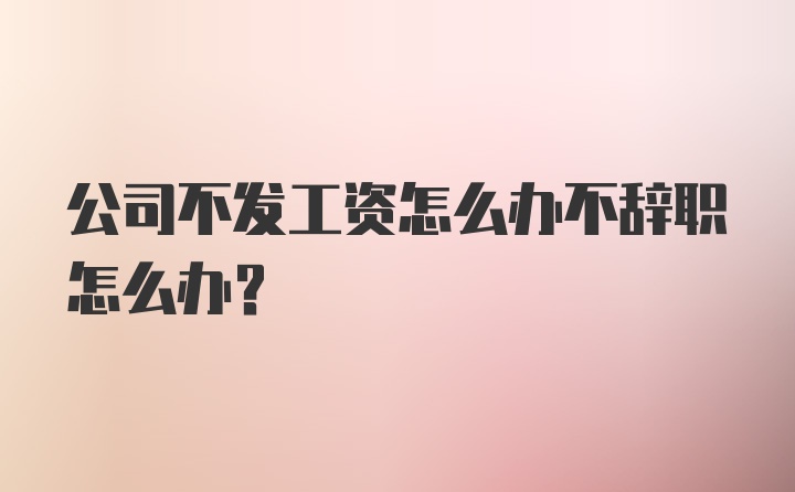 公司不发工资怎么办不辞职怎么办？