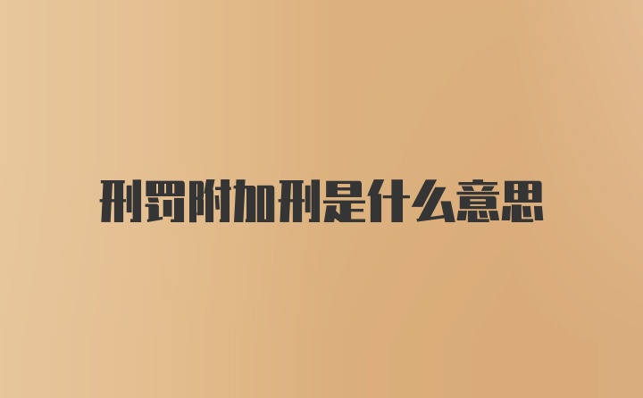 刑罚附加刑是什么意思