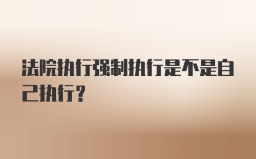 法院执行强制执行是不是自己执行？