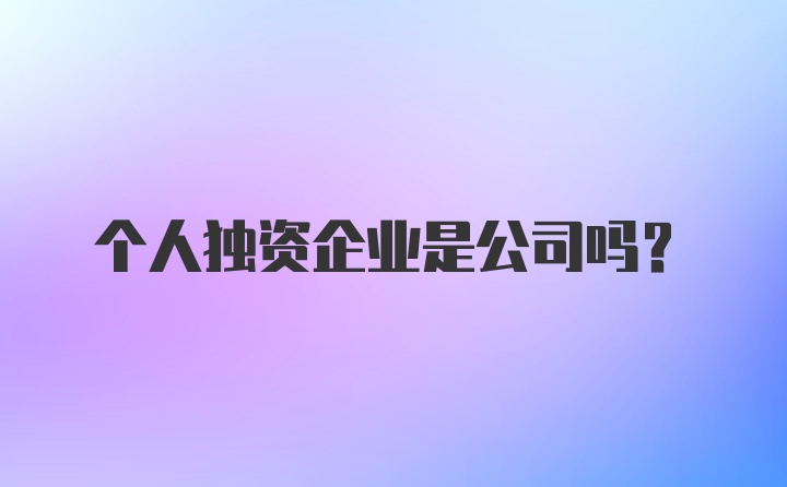 个人独资企业是公司吗？