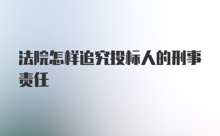 法院怎样追究投标人的刑事责任