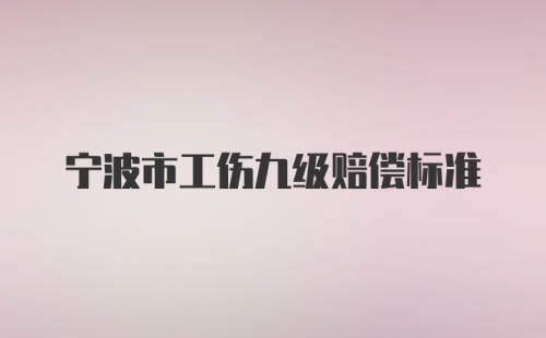 宁波市工伤九级赔偿标准