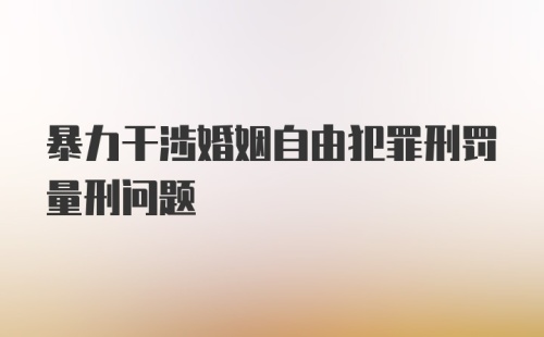 暴力干涉婚姻自由犯罪刑罚量刑问题