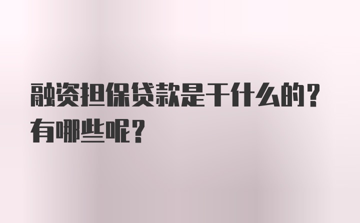 融资担保贷款是干什么的？有哪些呢？