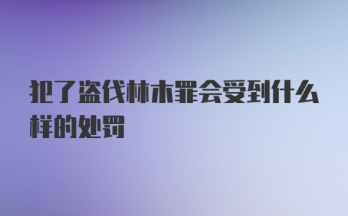 犯了盗伐林木罪会受到什么样的处罚