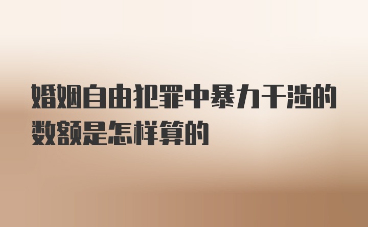 婚姻自由犯罪中暴力干涉的数额是怎样算的