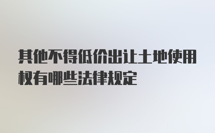 其他不得低价出让土地使用权有哪些法律规定