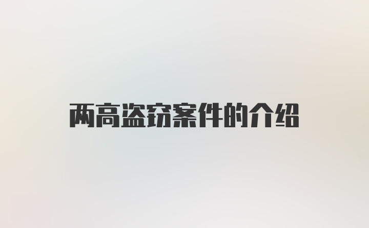 两高盗窃案件的介绍