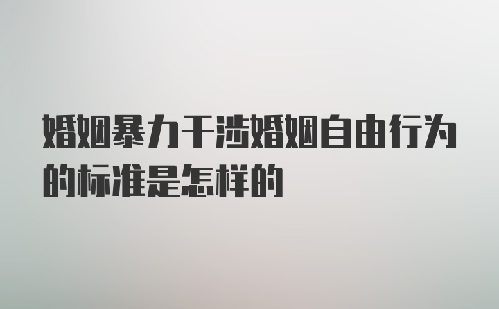 婚姻暴力干涉婚姻自由行为的标准是怎样的