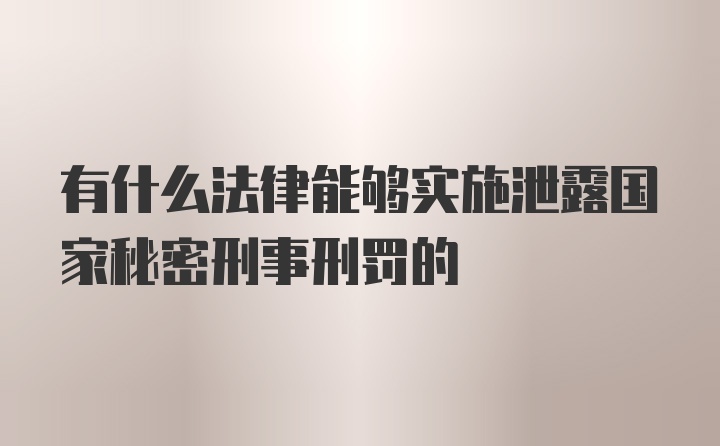 有什么法律能够实施泄露国家秘密刑事刑罚的