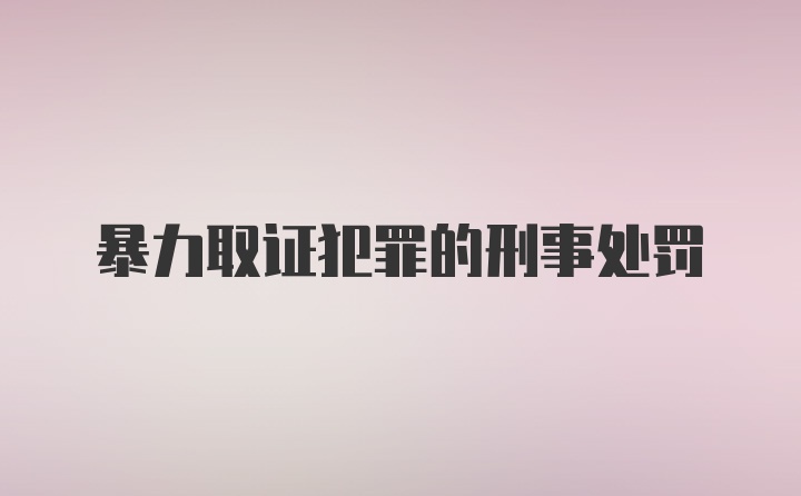 暴力取证犯罪的刑事处罚